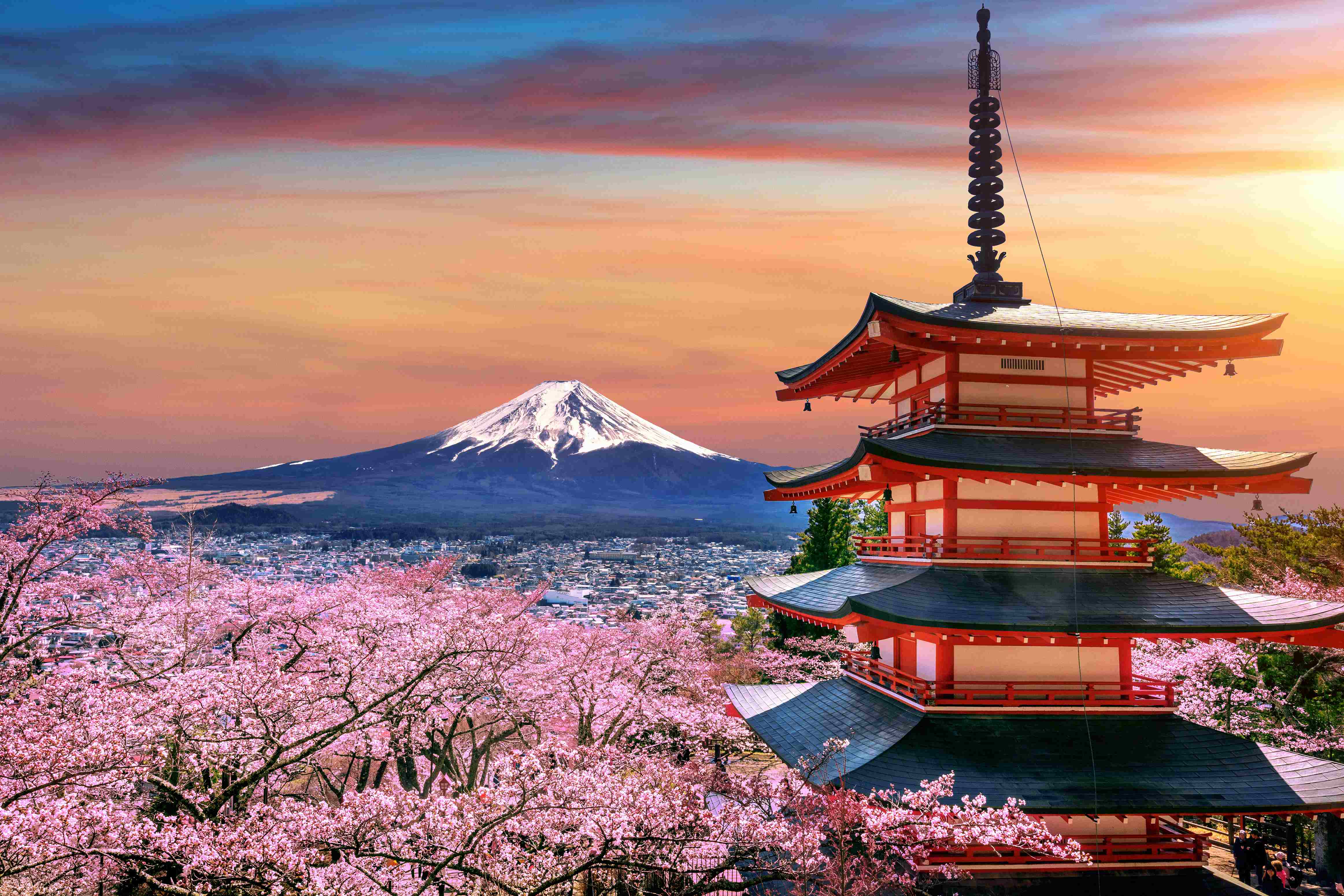 Chuyoku Educational Consultancy Pvt. Ltd.